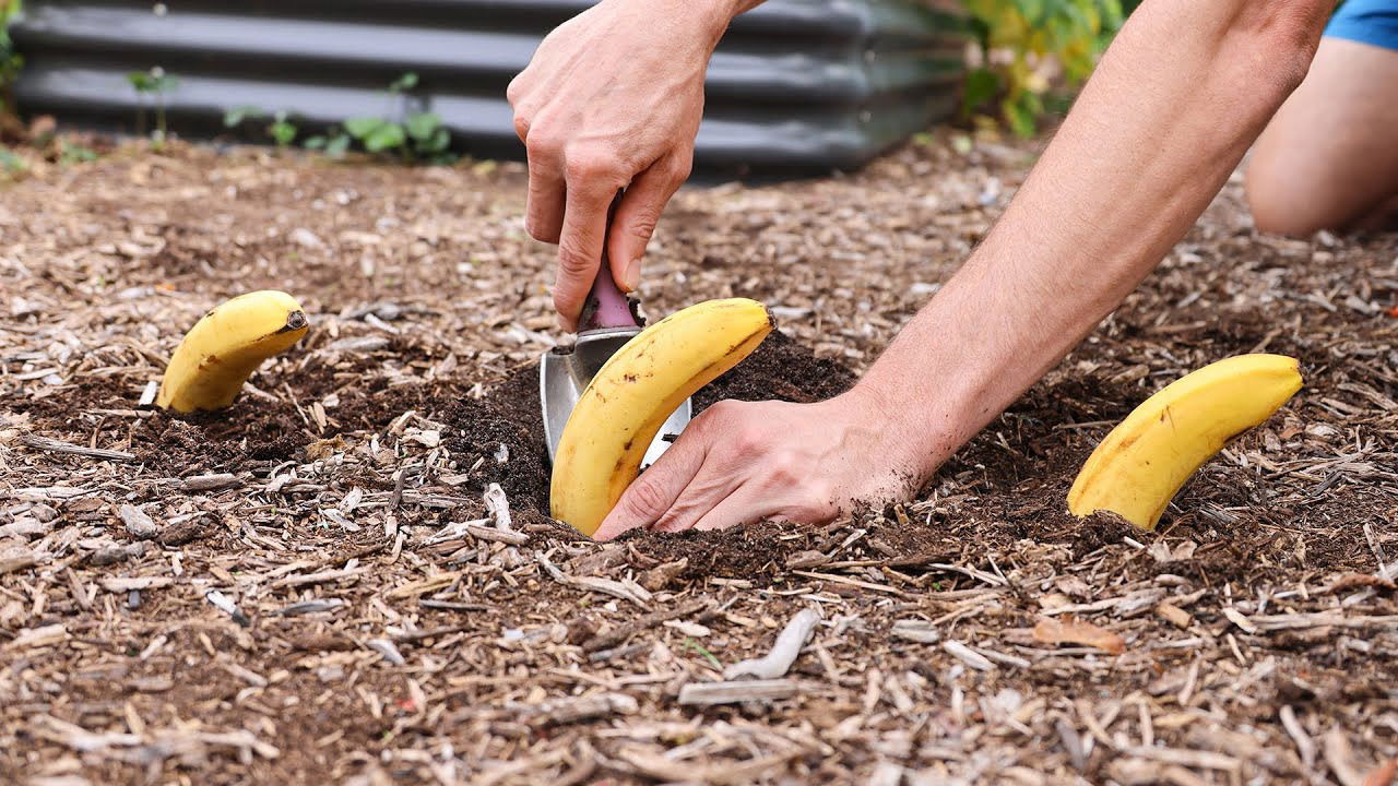 Try This Smart Hack